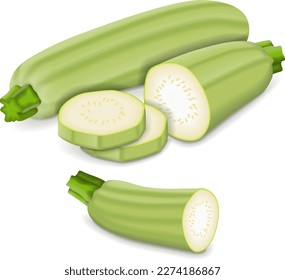 Whole, quarter, slices, wedges of Lebanese zucchini or Green courgette. Courgette or marrow. Summer squash. Cucubits. Fruits and vegetables. Vector illustration isolated on white background.