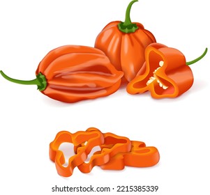 Whole, quarter, slices, and wedges of orange habanero chili peppers. Capsicum chinense. Heat chili pepper. Fresh organic vegetables. Vector illustration isolated on white background.