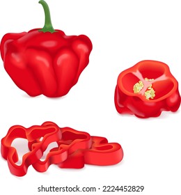 Todo, cuarto, rodajas y trozos de pimientos de bonnet de whisky rojo. Capsicum chinense. Pimienta picante. Verduras ecológicas frescas. Ilustración vectorial aislada en fondo blanco.