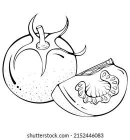 Whole and quarter tomatoes. Vector illustrations in hand drawn sketch doodle style. Line art botanical food isolated on white. Close up tomato vegetable. Element for coloring book, design, print. 