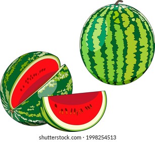 Whole and quarter watermelon in cartoon style for banner, flyer, menu. Fresh summer fruits and berries. Organic, healthy, vegetarian food. Watermelon day. Vector illustration.