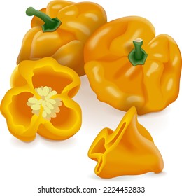 Un cuarto de pimientos bonnet de whisky amarillo. Capsicum chinense. Pimienta picante. Verduras ecológicas frescas. Ilustración vectorial aislada en fondo blanco.