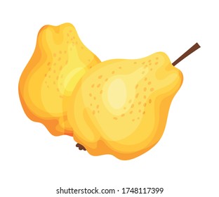 Whole Quince Isolated on White Background Vector Illustration