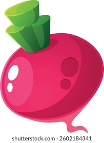 Whole radish vegetable vector illustration