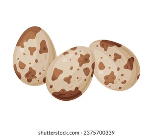 Huevos de codorniz crudos o hervidos con ilustración vectorial Shell
