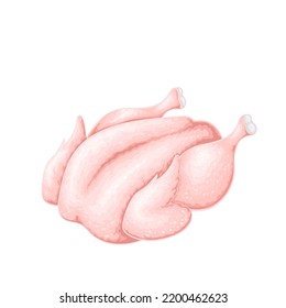 Ganzes rohes Hühnchen, Vektorgrafik. Cartoon einzeln frisches Fleisch von ökologischem Geflügel, nicht gekochte Schlachtkörper von Nutzvögeln mit Flügeln und Beinen, Filet und Haut, natürliche Lebensmittelzutaten zum Kochen von Mahlzeiten