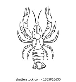 A whole raw live crayfish with pincers. Seafood, a freshwater arthropod. Contour sketch food illustration in doodle style, hand drawn, isolated on a white background. Black white vector