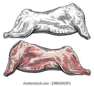 Whole raw meat carcass. Vector illustration engraving style