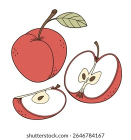 A whole red apple with a leaf and stem, a half apple showing seeds and core, and a quarter apple slice are depicted against a white background.