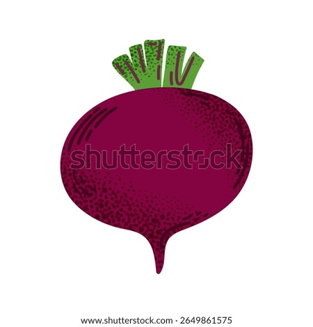 Whole red beetroot with green top. Simple flat style with textured shading. For food, farm, and healthy eating designs.