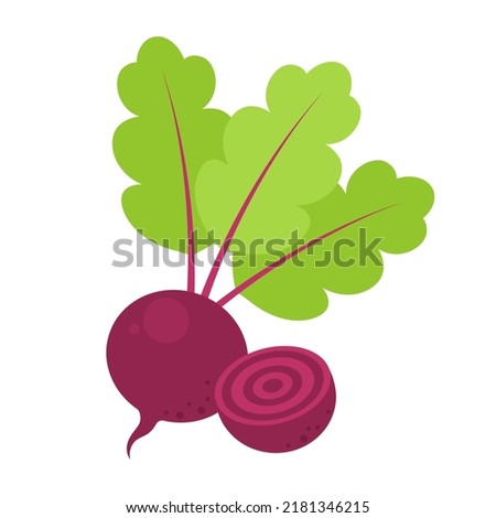 Whole red beetroot and half isolated on white background. Beta vulgaris, table beet, garden beet or dinner beet icon. Vector vegetables illustration in flat style.