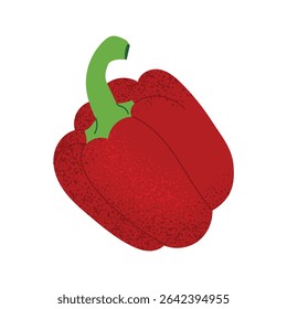 Whole red bell pepper. Hand drawn vegetable in flat style. Fresh organic food. Vector illustration isolated on white background.