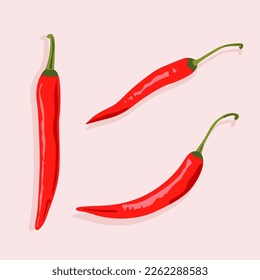Whole red chili pepper, different shapes. Useful spicy vegetable. Isolated figures.