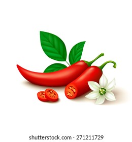 Whole red chili pepper with half, slices, flower and leaves isolated on white background. Vector illustration.