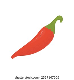 Whole red chilli pepper. Hot pepper. Vector illustration isolated on white background.