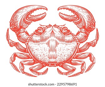 Whole red crab. Crustacean aquatic animal in vintage engraving style. Seafood, sketch vector illustration