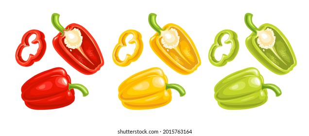 Ganze Paprika aus Rot, Grün und Gelb. Vektorfarbenrealistische Illustration für Menü, Poster, Label. Einzeln auf weißem Hintergrund. Handgezeichnetes Design-Element