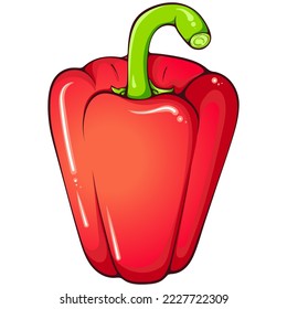 Whole red paprika pepper. Vector color illustrations in hand drawn cartoon style. Fresh organic food isolated on white. Close up paprika vegetable. Element for cookbook, sticker, design, print.