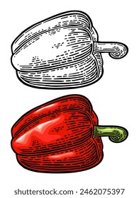 Whole red sweet bell pepper. Vector color vintage engraving illustration for menu, poster, label. Isolated on white background. Hand drawn design element