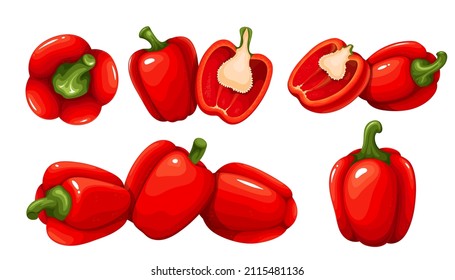 Whole red sweet peppers vegetable and half red bell pepper Vector illustration.