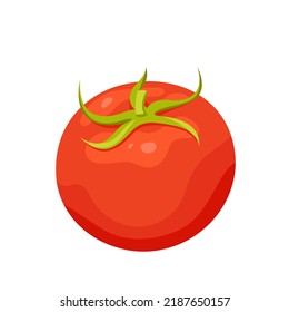 Whole red tomato fruit vector illustration. Cartoon isolated single ripe organic tomato with green leaves, food ingredient for cooking sauces and ketchup, vegetarian tasty and healthy recipes