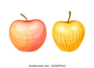 Whole Ripe Apple Fruit as Organic Garden Crop Vector Set