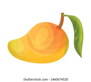 Whole ripe mango with a leaf. Vector illustration