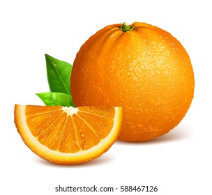 Whole ripe oranges and slices. Vector illustration of orange. Fully editable handmade mesh.