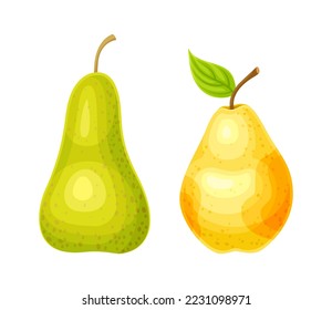 Whole Ripe Pear Pomaceous Fruit as Organic Garden Crop Vector Set