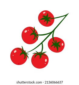 Whole ripe red cherry tomatoes on white background. Cartoon illustration