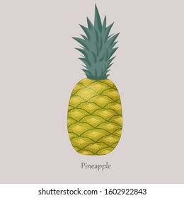 Whole ripe tropical pineapple on a gray background. Healthy, tasty, sweet yellow fruit. Exotic fruit and logo.