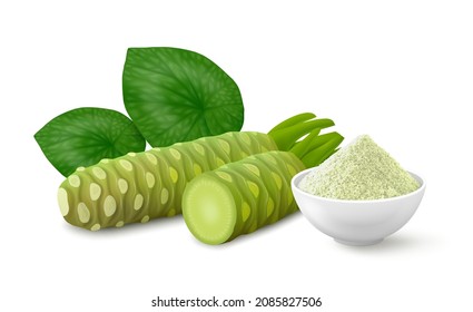 Whole root of wasabi with half, two leaves and natural pale green powder in a white bowl. Realistic vector illustration. Side view.