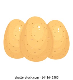 whole round potato vector illustration