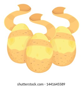 whole round potato vector illustration