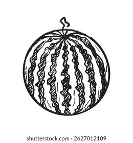 Whole round shape striped watermelon in black brush stroke texture isolated on white. Hand drawn vector sketch illustration in vintage charcoal ink. Summer juicy fruit, berry, harvest concept