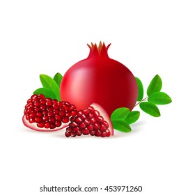 Whole and segment pomegranate fruit with leaves isolated on white background. Realistic vector illustration.