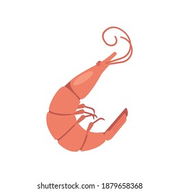 Whole shrimp on white background. Vector illustration in trendy flat style.