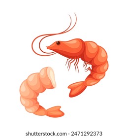 Whole Shrimp And A Peeled Shrimp Isolated On White Background. Cartoon Vector Illustration Of Prawns For Seafood Menus