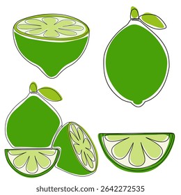 Whole, slice and cut lime. Minimalist hand drawn set lime fruit set isolated on white background