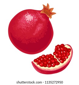Whole and slice garnet with seed. Vector color flat illustration for menu, poster. Isolated on white background