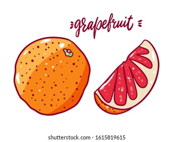 Whole and slice Grapefruit in cartoon style. Vector illustration. Isolated on white background. Design for banner, poster and web.