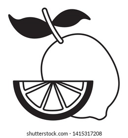 whole and slice lemon citrus vector illustration