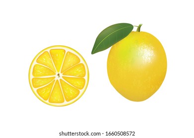 Whole and slice of lemon. vector illustration