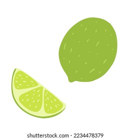 Whole and slice lime in cartoon flat style. Hand drawn vector illustration of green lemon, fresh healty food, citrus fruit icon.