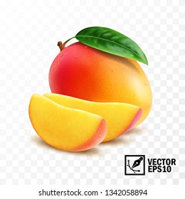Whole and slice mango fruit with leaf, 3D realistic isolated vector, editable handmade mesh