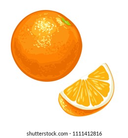 Whole and slice orange. Vector color flat vintage engraving illustration for menu, poster. Isolated on white background.