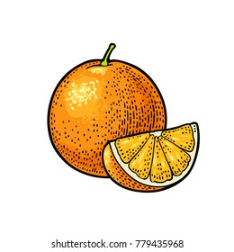 Orange und Orange in Scheiben. Vektorfarbige Vintage Graviergrafik für Menü, Poster. Einzeln auf weißem Hintergrund