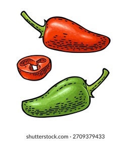 Pimienta entera y jalapeño en rodajas. Ilustración de grabado vintage de color de Vector para menú, póster, etiqueta. Aislado sobre fondo blanco. Elemento de diseño dibujado a mano