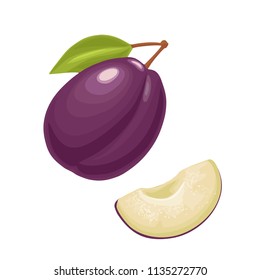 Whole and slice plum with seed and leaf. Vector color flat illustration for menu, poster. Isolated on white background