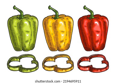 Whole and slice red, green, yellow sweet bell peppers. Vintage vector engraving color and black illustration. Isolated on white background. Hand drawn design